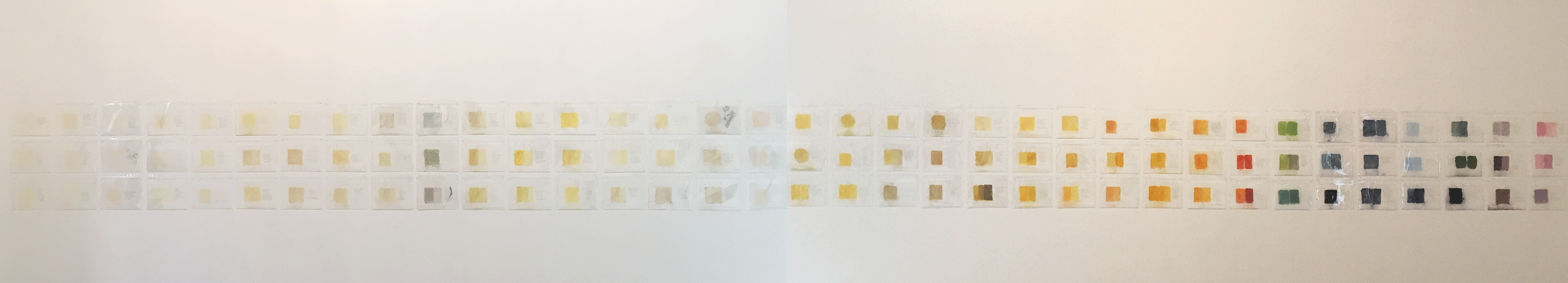 Pollen-wall