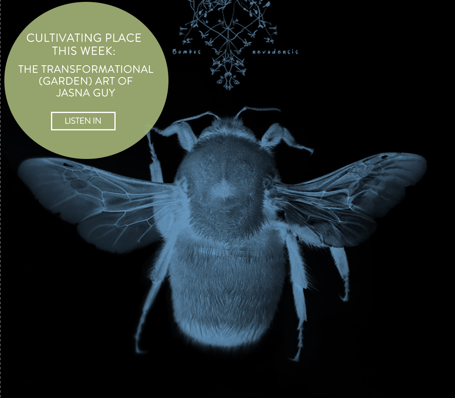 photo ad for cultivating place